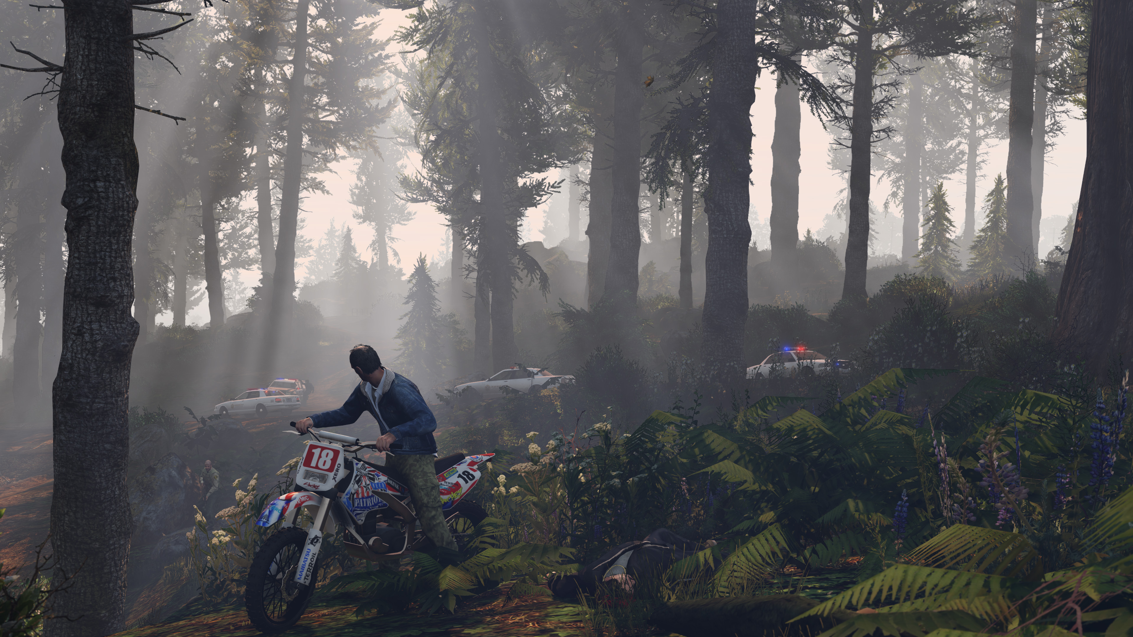Grand Theft Auto V screenshot 2