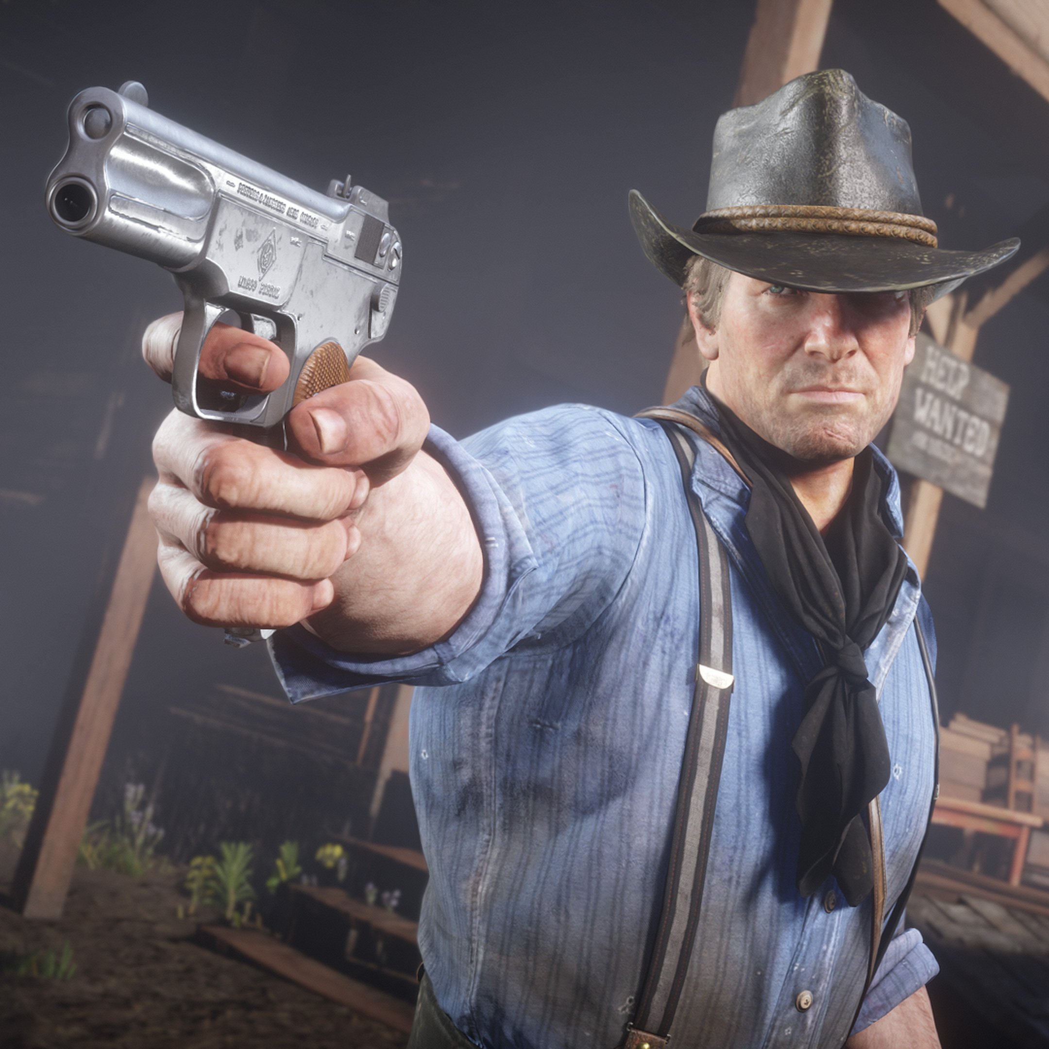 В Red Dead Redemption 2 для PS4 появился фоторежим и дополнительные  материалы для сюжетного режима - Rockstar Games