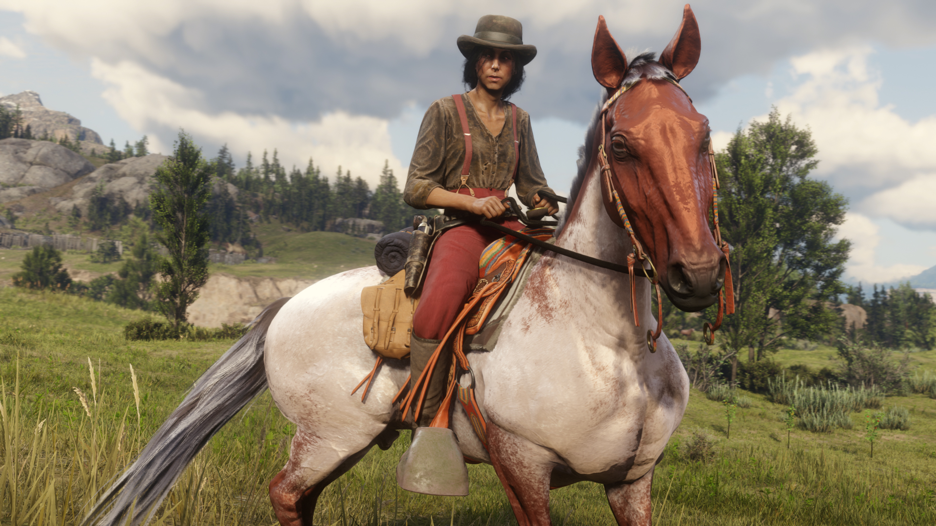 Red Dead Redemption 2 - Cavalo Warmblood Holandês Ruano Chocolate RDR2