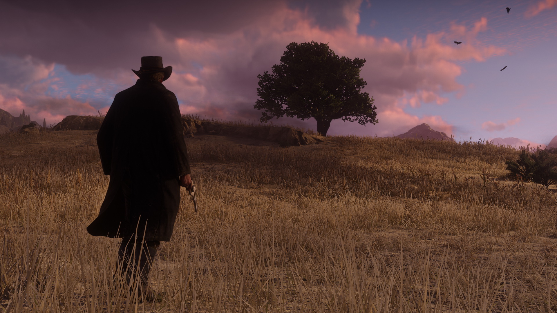 Red Dead Redemption 2 has a brand new singleplayer expansion