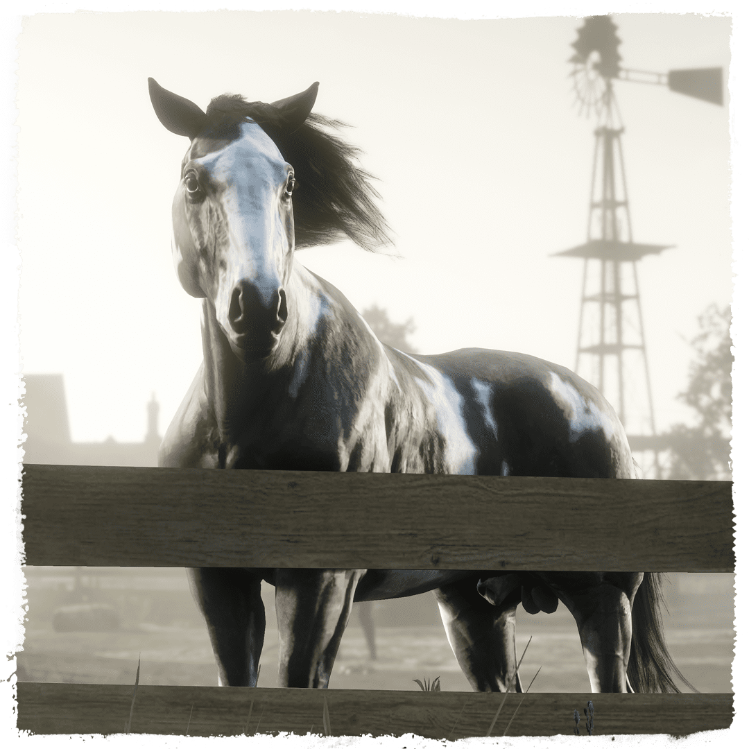 Images Need Alt Text